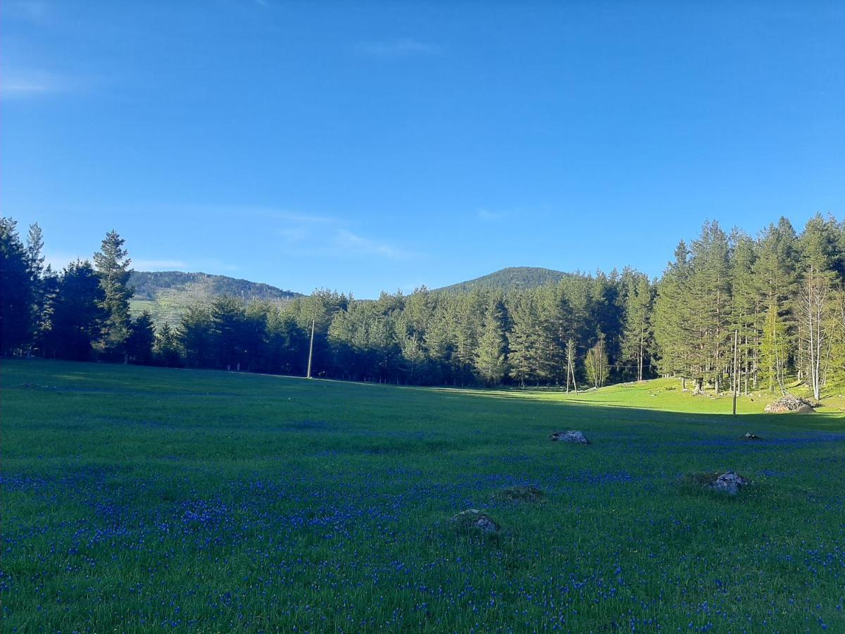 Villa Vikendica Borje Žabljak Exterior foto
